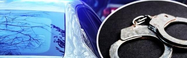 Pao begunac na granici! Uhapšen lopov koji je bio na poternici Interpola!