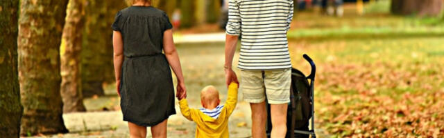 Влада оснива Савет за породицу и демографију