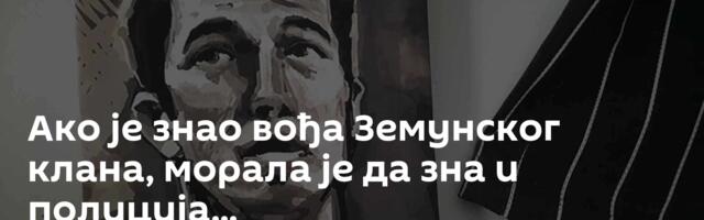 Ако је знао вођа Земунског клана, морала је да зна и полиција...