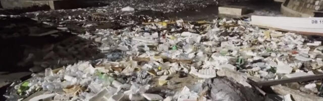 Stravičan prizor u Dubrovniku: Leševi krave, ovce, mačke i “ko zna čega” isplivali na obalu