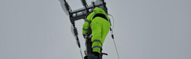 ​Проблеми у снабдевању струјом у Мачванском и Колубарском округу због снега