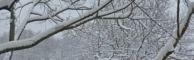MUP: Granična policija na Vlasini spasila porodicu zavejanu više od 24časa