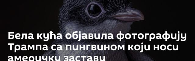Бела кућа објавила фотографију Трампа са пингвином који носи америчку заставу