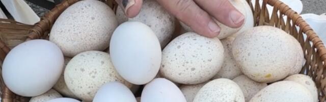 Od 15 do 200 dinara: Potraga za najboljim jajima za Vaskrs i šta kad prodavac baš za vas nađe još samo jedno ispod tezge (FOTO/VIDEO)