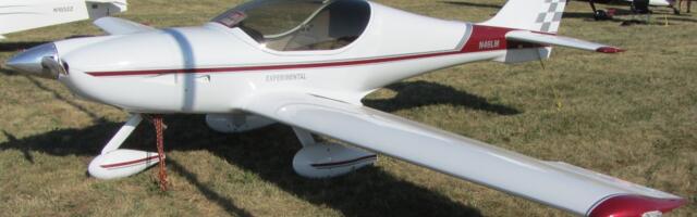 Pao mali avion u blizini Batajnice