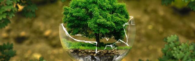 Predstavljena inovativna rešenja 20 preduzetnica nagrađenih za cirkularnu ekonomiju