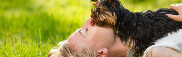 Večite bebe: 5 neodoljivih malih rasa pasa - osvajaju srca začas (FOTO)