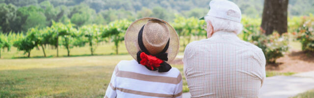 PIO Fond izmenio obrazce: Uvedena nova polja, evo šta je bitno za penzionere (FOTO)