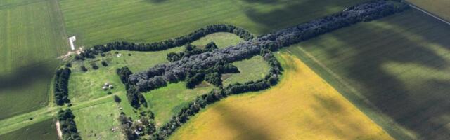 Farmer ispunio san supruge (25) koja je iznenada preminula: Ovaj nestvaran prizor vidi se i iz svemira!