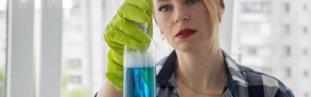 BOSANKA KOJA RADI U NEMAČKOJ KAO ČISTAČICA NAČISTO ŠOKIRALA ŠEFA! Kad mu je ovo dala - PLAKAO JE KAO KIŠA!