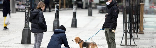 Centar Beograda je pun psećeg izmeta, iako su kazne za gazde koje ga ne čiste 10.000 dinara: sprovodi li iko ovaj zakon i zašto ne