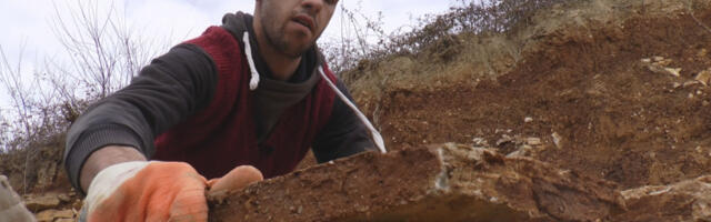 PONOSAN SAM ŠTO SAM POTOMAK VELIKOG VOJSKOVOĐE Živojin Mišić rukama iz kamenoloma vadi kamen, zarađuje hleb sa sedam kora