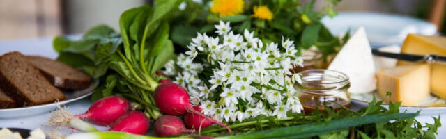 Iskoristite priliku za prolećni detoks: Šest biljaka koje regenerišu organizam i pune su vitamina