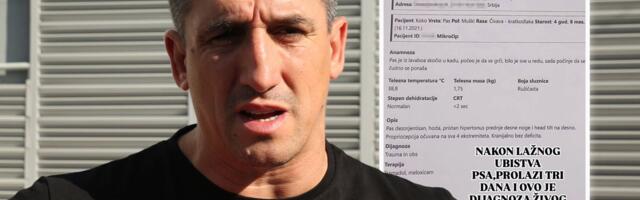"Ovo je dijagnoza živog psa!" Kristijan Golubović objavio nalaz veterinara nakon optužbi da je ubio ljubimca