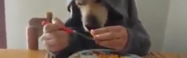 OVO DO SADA NISTE VIDELI! Prevarili su mnoge, a ZBOG OVOGA NEĆETE VEROVATI NI SOPSTVENIM OČIMA!