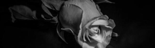 &quot;NEKA POČIVA U MIRU&quot;, OGLASILA SE ŠKOLA UČENIKA (15) KOJI JE UMRO U GARAŽI U SUBOTICI Slušao muziku u upaljenom automobilu?