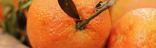 Kada je najbolje jesti pomorandže i zašto su zdrave?
