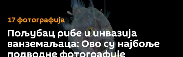 Пољубац рибе и инвазија ванземаљаца: Ово су најбоље подводне фотографије