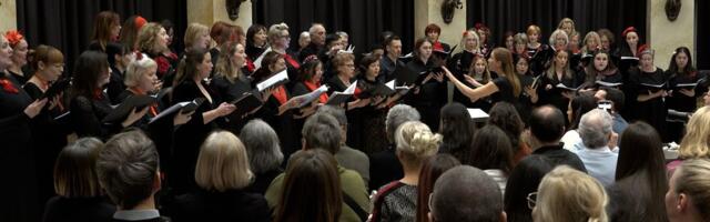 IBS hor još jednom oduševio Beograd: Praznični koncert u Palati nauke ispunio sva očekivanja publike