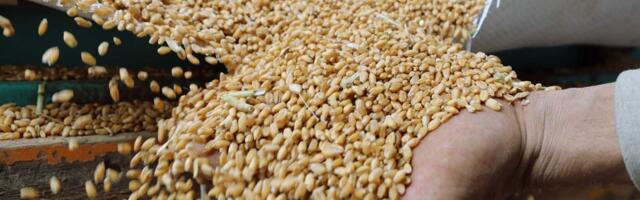 FAO indeks cena hrane u februaru zabeležio rast nakon pet meseci pada