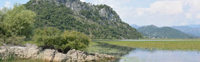 Automobil sa srpskim tablicama sleteo u Skadarsko jezero: Saobraćajka kod Virpazara
