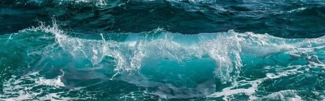 Protekle godine zabeležena rekordno visoka temperatura okeana