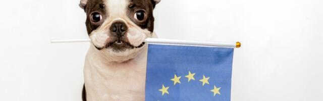 Britanci na muci: EU pasoši za ljubimce više ne važe, za putovanja neophodni sertifikati i nova dokumentacija