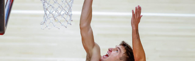 Jasno je, nije ozbiljna povreda Bogdana Bogdanovića