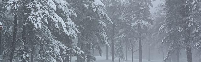 Meteorolog Sovilj: Prestanak padavina sutra popodne, istorijske visine snega u oktobru