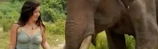 Evo zašto ne treba zadirkivati slona (VIDEO)