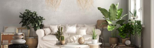 5 neočekivanih feng šui saveta od uspešnog TikTok stručnjaka