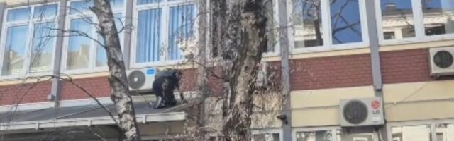 Evo kako su studenti "preskočili" policiju i ušli na DIF: Popeli se na drvo, pa ušli u zgradu kroz prozor (VIDEO)