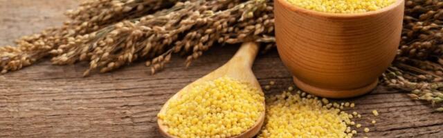 Hrskavi popečci od prosa: Zdrav i zasitan obrok koji se sprema brzo