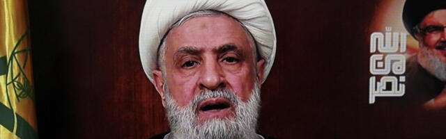 Лични секретар и нећак лидера Хезболаха ликвидиран у Бејруту