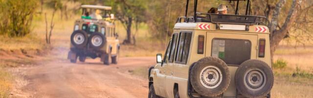 Firma potrošila pola miliona dolara na tim bilding, a onda je zaposlene dočekao pakao: Trovanje, aligatori i strah među ljudima