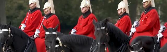 ​Фатални пад војника с коња у вртовима дворца Виндзор