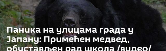 Паника на улицама града у Јапану: Примећен медвед, обустављен рад школа /видео/