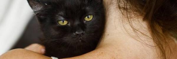 Avion prinudno sleteo zbog žene koja je dojila mačku