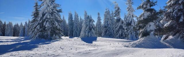 Планина на којој снега има највише, а цене су најниже, смештај се може наћи за 30 еура, а оброци тродупло јефтинији него на Копаонику