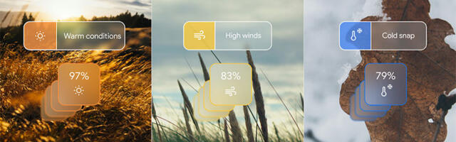 AI sistemi kao bolji meteorolozi