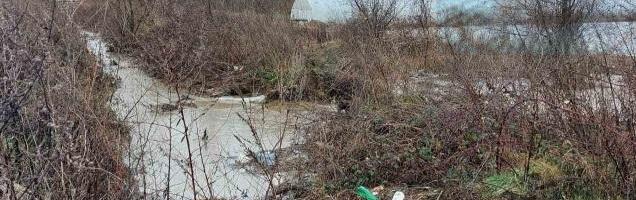 Južna Morava poplavila jug Srbije: Obustavljen saobraćaj preko Ćukovačkog mosta, u Pavlovcu evakuisano devet osoba