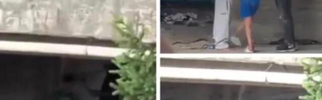 DECA SNIMLJENA KAKO PREDAJU NOVAC ODRASLOM MUŠKARCU U NOVOM PAZARU: Užasne scene ispod mosta, OVO JE OZBILJNO!