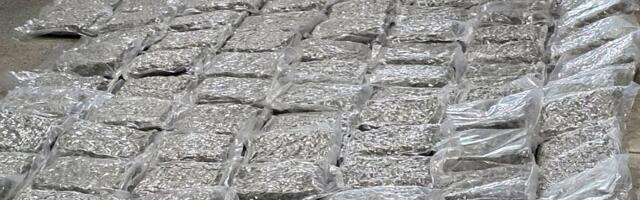 FOTO: Novosadska policija zaplenila više od 60 kg marihuane i uhapsila državljanina Crne Gore