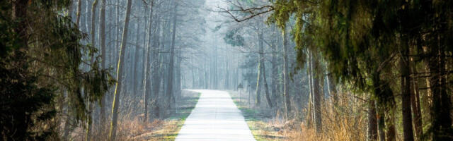 Nestabilno prolećno vreme: Danas od -2 do 20 stepeni uz olujne udare vetra i ponegde kišu