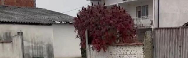 U ovoj trošnoj kući je nekada živela naša pevačica: Danas uživa u luksuzu, a ovde je provela detinjstvo