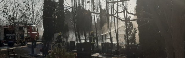 Zbog virusa opasnijeg i od korone u ovom gradu ne sme da se UMRE!