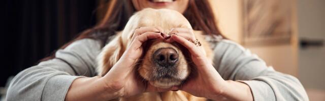 Zašto ljudi vole pse više od drugih kućnih ljubimaca