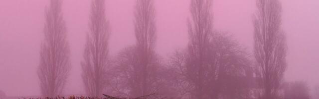 Čudna ružičasta magla zaprepastila Britance: Nije bilo opasnosti, a ovo je objašnjenje retkog fenomena