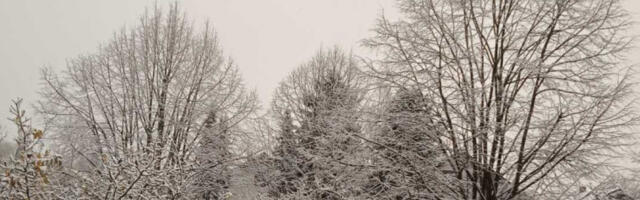 Снег покрива Србију, температуре одлазе у минус