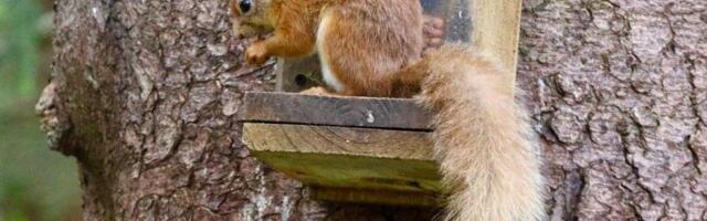 'Jezička greška': Festival prirode pomešali sa nudističkim događajem